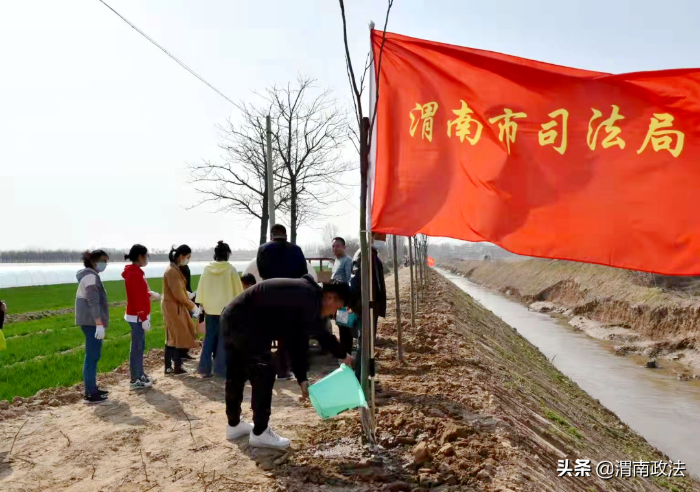 渭南市司法局開展義務植樹活動（圖）