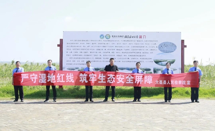 7月20日，大荔縣人民檢察院黨組成員、副檢察長葛永峰帶領第四檢察部全體干警深入“陜西大荔朝邑國家濕地公園”進行實地調研。