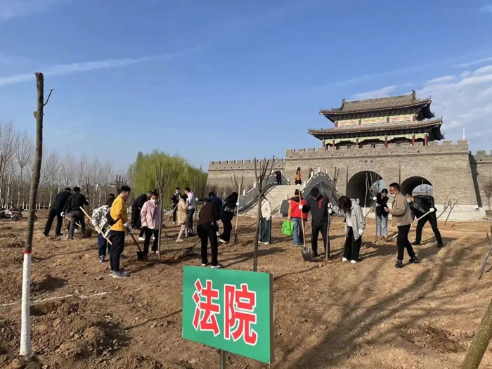 臨渭法院積極參加植樹節義務植樹活動。