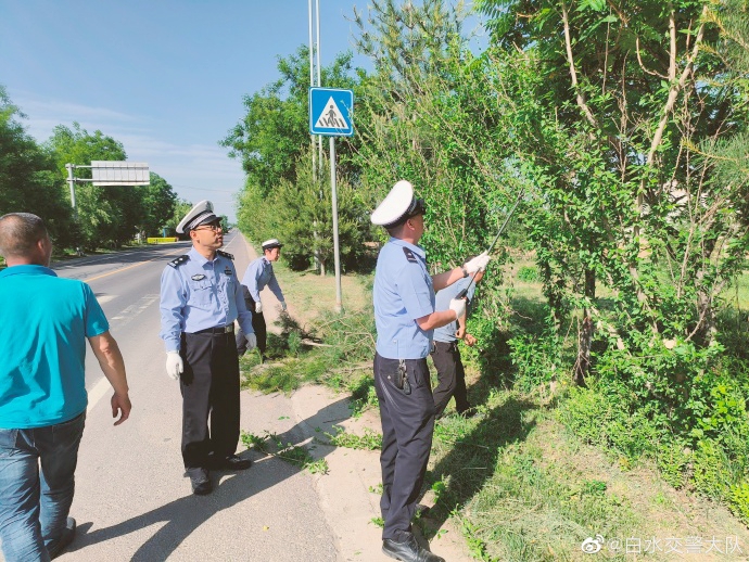 白水交警隊路邊遮擋交通安全標(biāo)志的樹木進行清理。