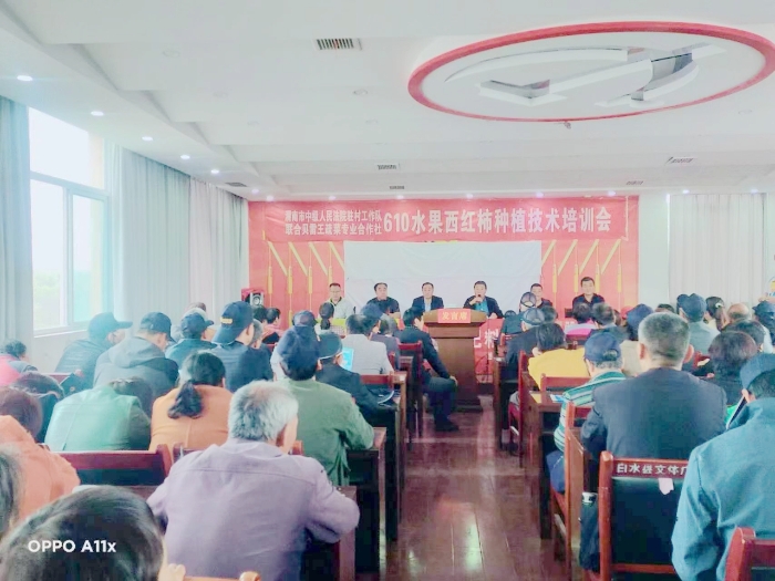 渭南中院駐村工作隊(duì)舉辦西紅柿種植技術(shù)培訓(xùn)會(huì).