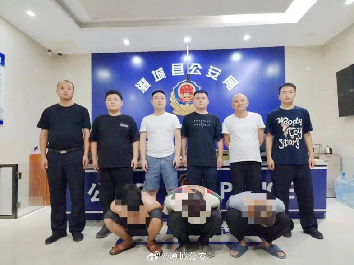 澄城公安抓獲盜竊犯罪嫌疑人。