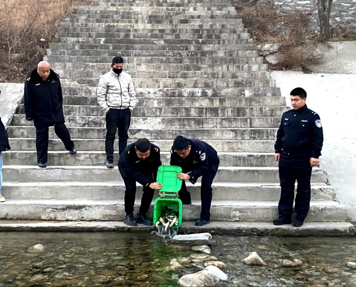 華陰公安桃下派出所民警與農業農村局執法大隊工作人員將違法捕獲的活魚帶往羅敷河放生。