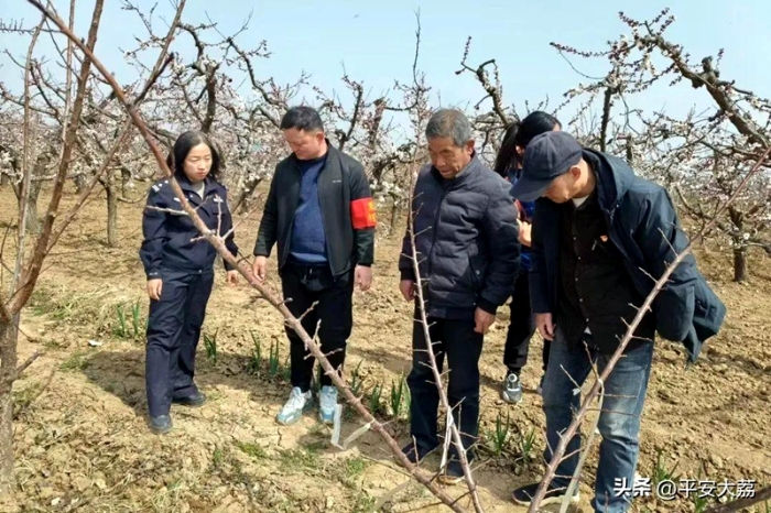 大荔公安禁毒大隊開展禁種鏟毒踏查活動。