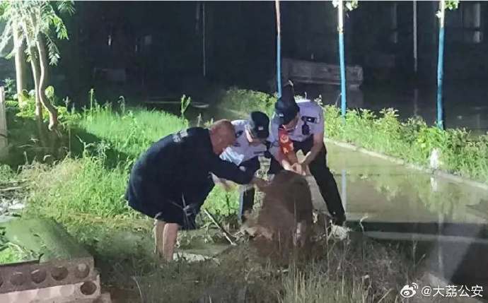 大荔交警幫助群眾清除廠房內外積水.