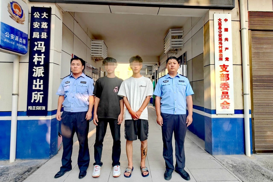 大荔公安破獲系列盜竊黃花菜案。