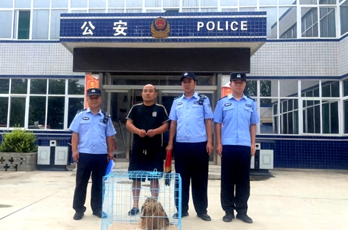 澄城警民共同救助國家二級重點保護(hù)動物雕鸮。