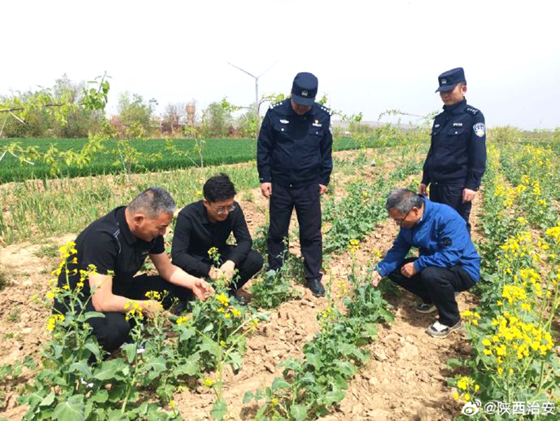 合陽(yáng)公安開展禁種鏟毒踏查行動(dòng)。