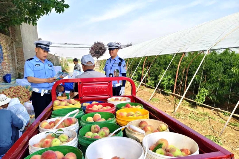 華州交警深入轄區(qū)桃園開展交通安全宣傳。