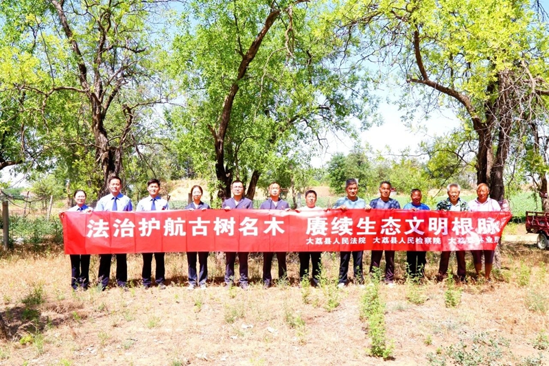 大荔縣人民檢察院聯(lián)合縣法院、縣林業(yè)局開展古樹名木保護(hù)專項巡查活動。