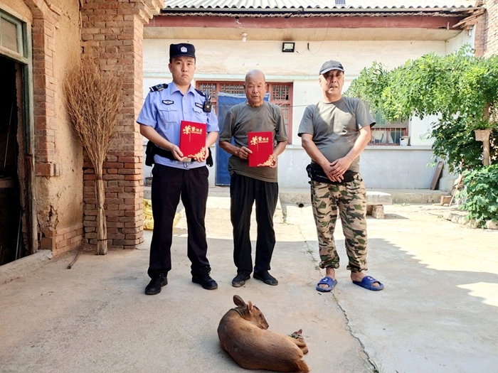 臨渭區警民聯手救助國家三有保護動物“麂子”。